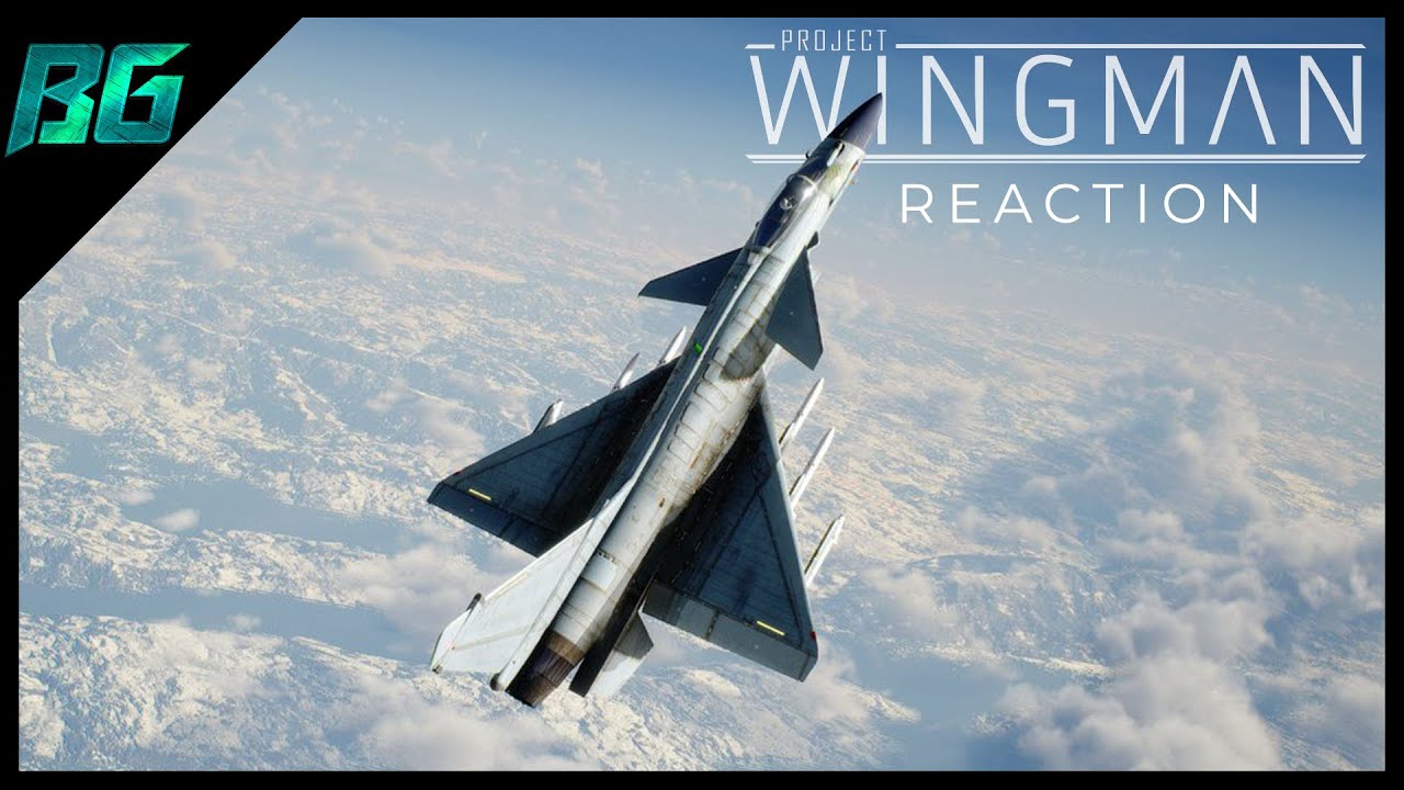 project wingman download free